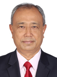 Prof. Dr. Md. Al Amin Mridha