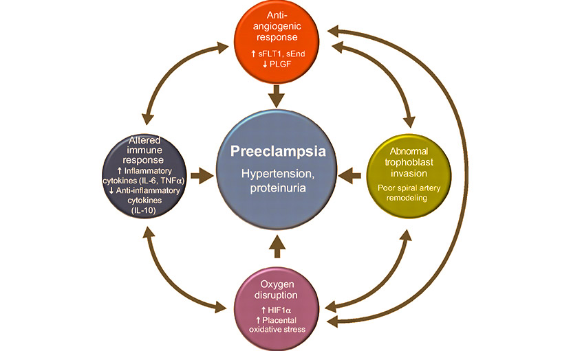 গর্ভকালীন অ্যাজমা কেন হয় এবং এর চিকিৎসা কী?